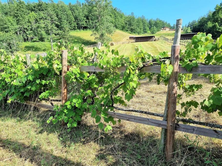 Oasi Di Pace Nella Val Di Taro Apartment Compiano Luaran gambar