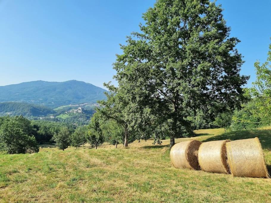 Oasi Di Pace Nella Val Di Taro Apartment Compiano Luaran gambar